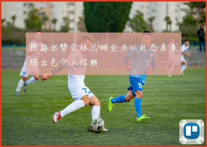 图赫尔赞贝林厄姆全力以赴态度表现出色令人信赖